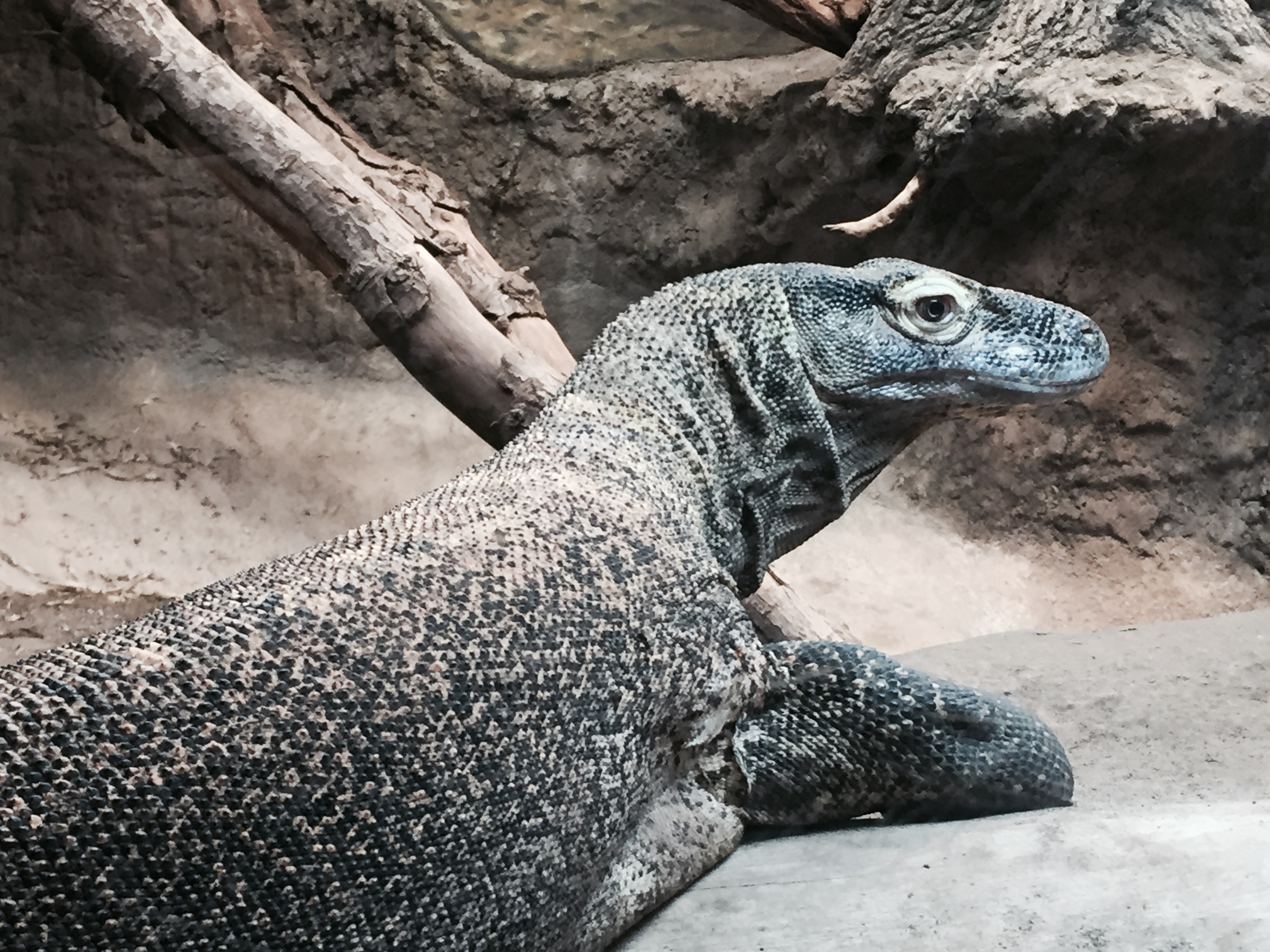 In Defense Of Politics (Jonathan Cole)