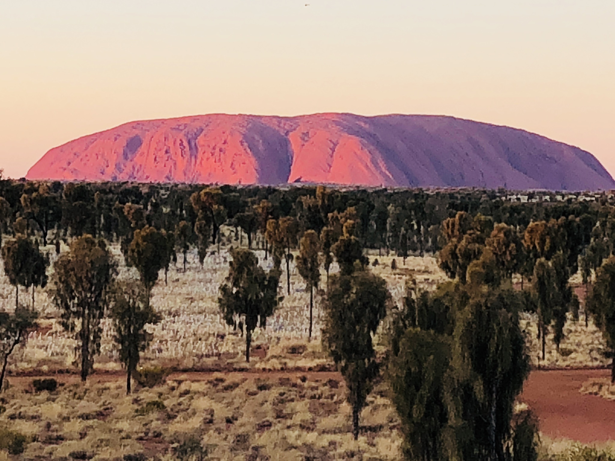 Capitalism and Community Health – What We Can Learn From Indigenous Communities, Part 2 (Tony Ward)