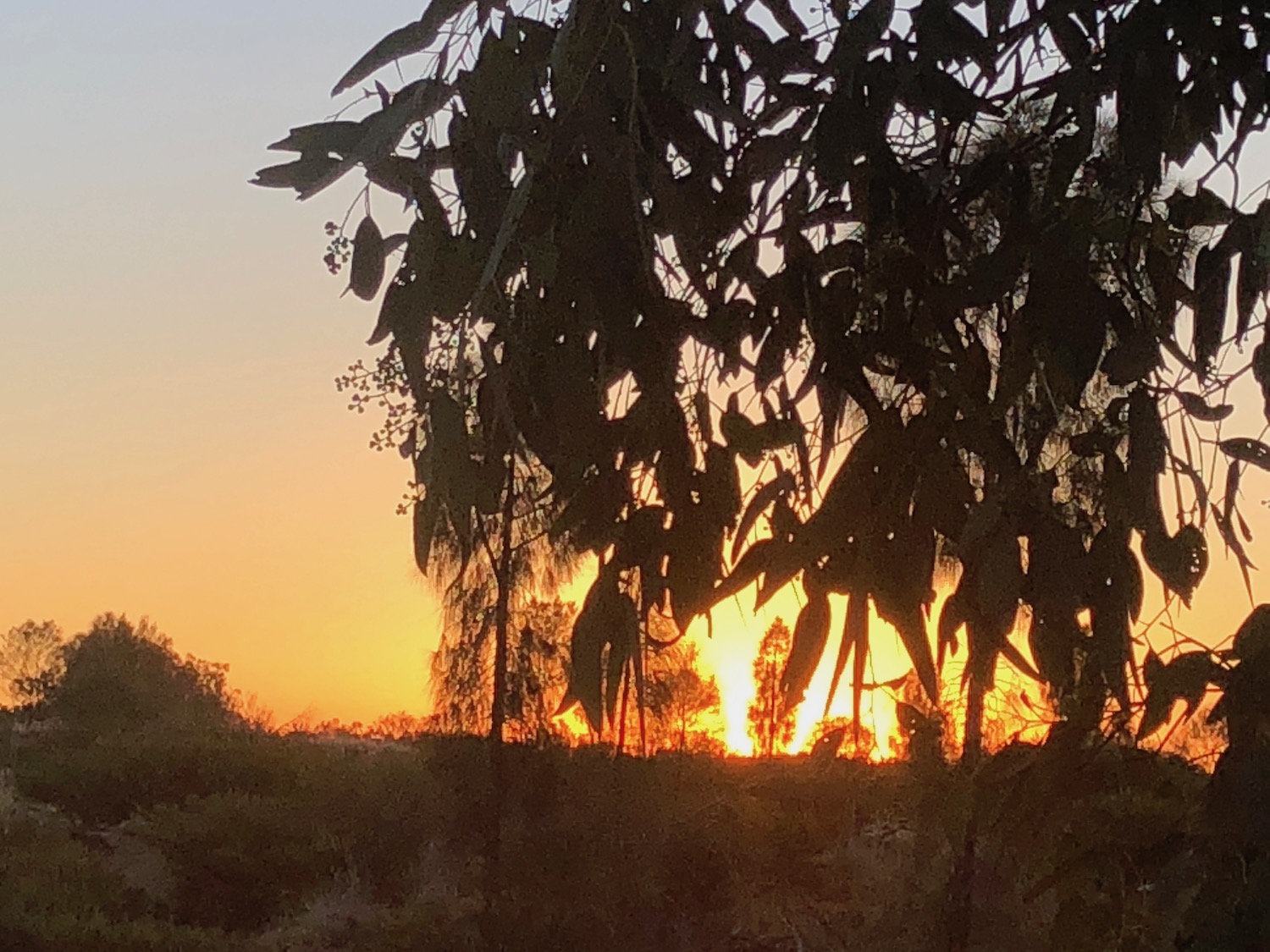 Rethinking Capitalism And Community Development – The Strengths Of Praxis, Part 1 (Tony Ward)