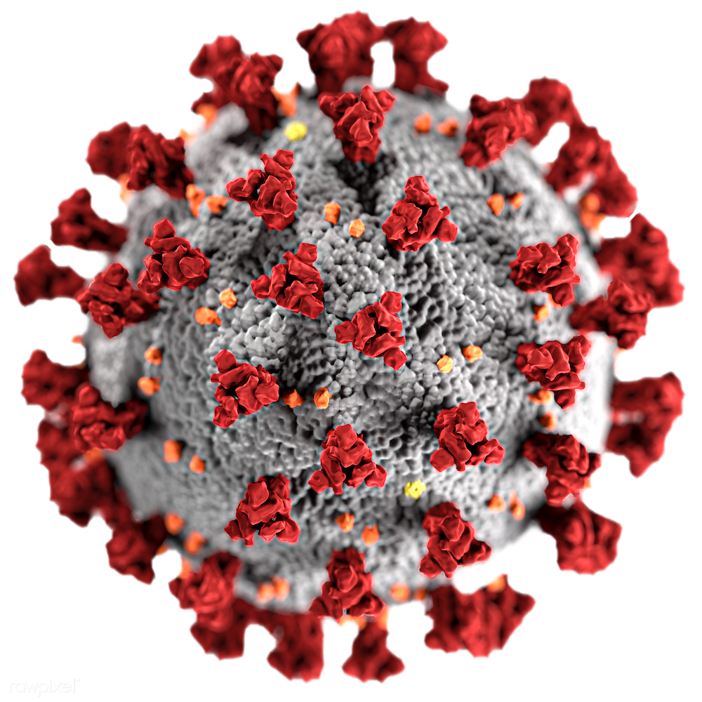 Divine Judgement And The Ethics Of Authenticity -Unsettling Thoughts On The Covid-19 Virus (Paul Tyson)