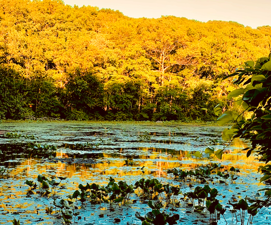 Neoliberalism And The Illusion Of Sovereignty, Part 2 (Carl Raschke)